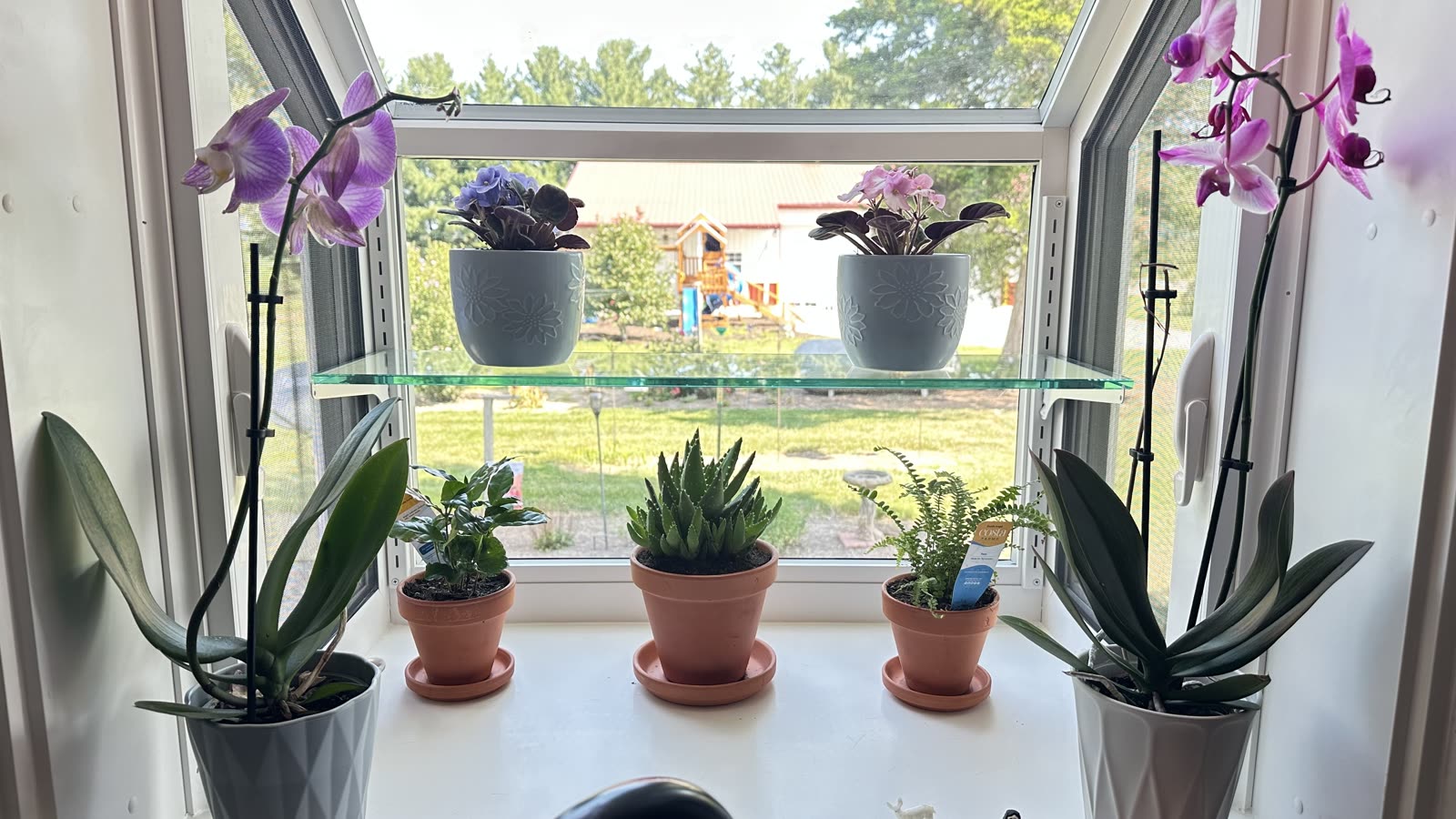Interior view of a garden window with vented side sashes and screens