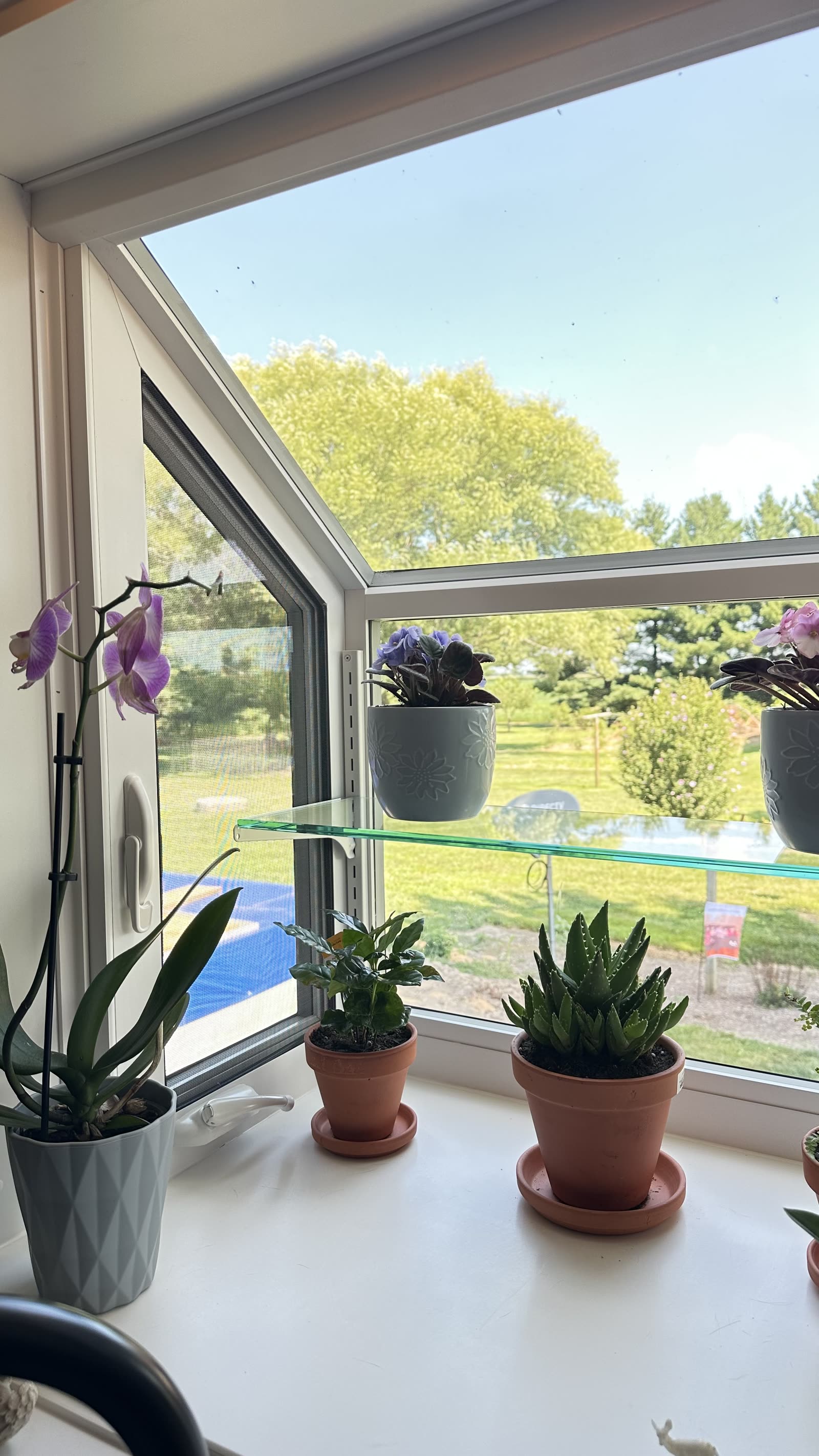 Angled view of a new garden window looking out over a Southern Illinois yard